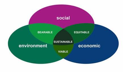 The Sustainability Landscape Different interpretations Supermarket Initiatives Individual Retailer Sustainable Supply Chain Specifications (e.g.