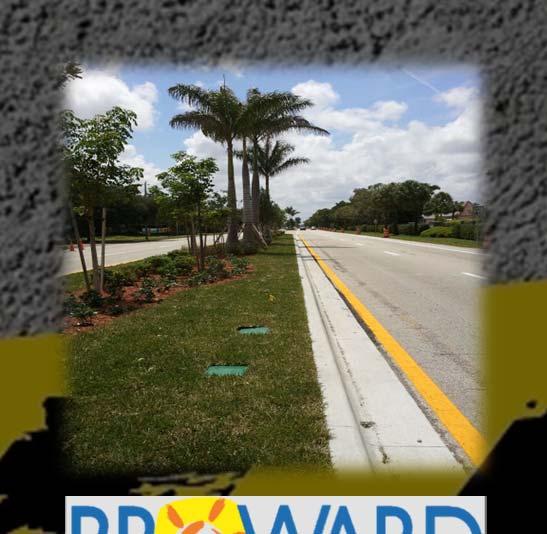 Project Engineer BROWARD COUNTY Hollywood Boulevard from