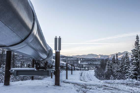 TAPS ownership: Operator: Alyeska Pipeline Service Company Owners: BP Pipelines (Alaska) Inc. 48.44% ConocoPhillips Transportation Alaska, Inc. 29.2% ExxonMobil Pipeline Company 2.