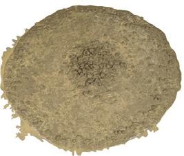 evidence of a large mortar halo > 10 mm [ 1 /2 in] and/or a large aggregate pile in the centre of the concrete mass PRINCIPLE: The slump of the concrete gives a measure of the workability.