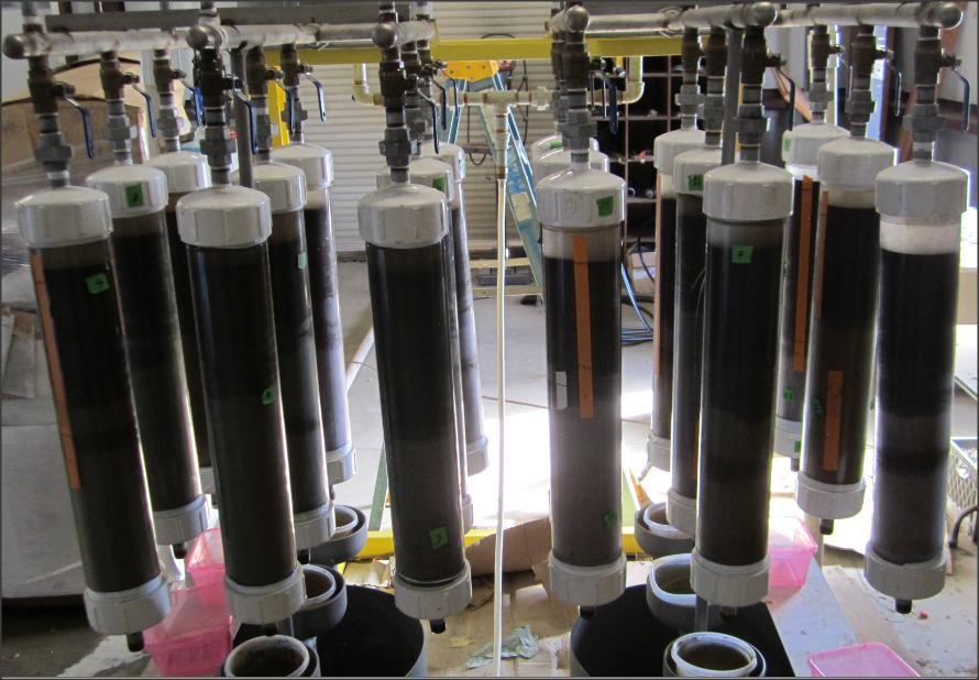The columns setup that is used for our research