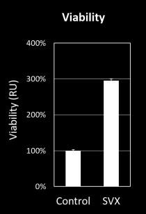 The graph shows PI staining relative to the Calcein AM staining,