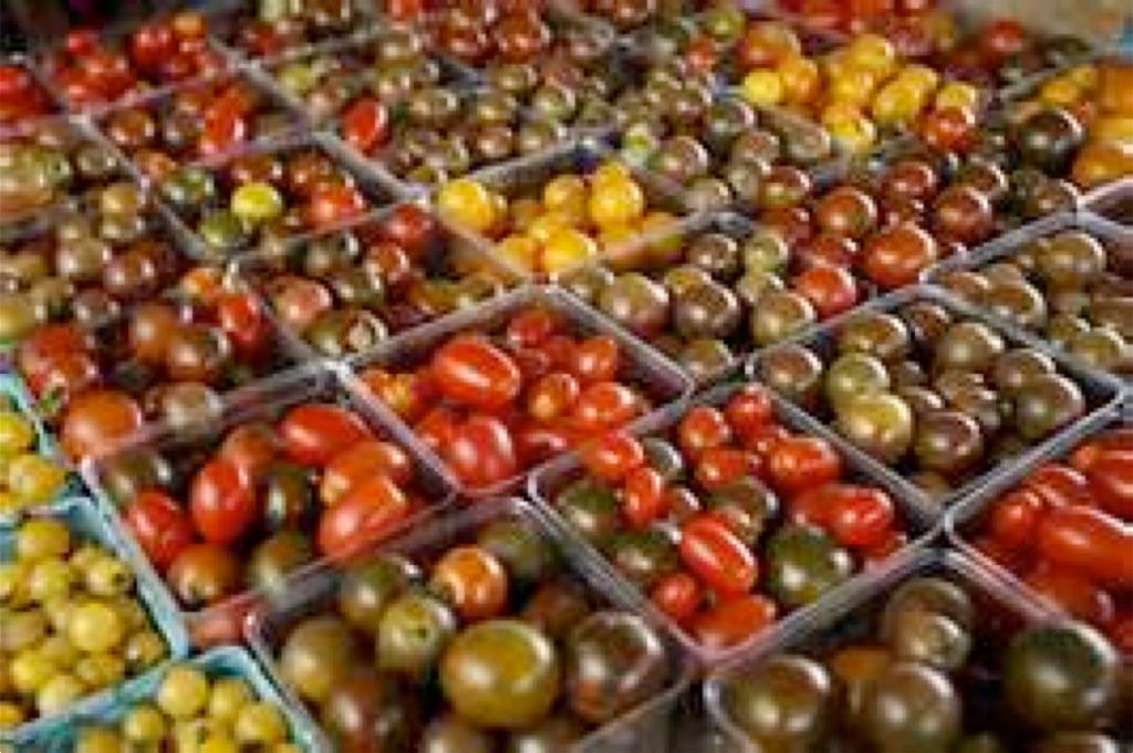 Why do Tomatoes lose flavor in the fridge? Scientists have figured out why: It's because some of their genes chill out, says a study that may help solve that problem.