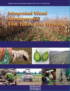 Integrated Weed Management: Tools of the Trade Erin