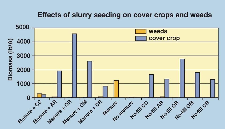 Figure 22. Effect of slurry seeding versus no-till seeding cover crops on biomass production and weed biomass.