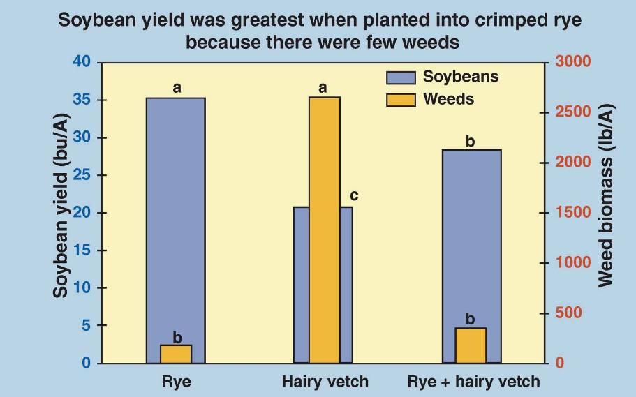Figure 32. Yield and fall weed biomass for organic soybeans planted into crimped rye, hairy vetch, or a combination of the two cover crops.