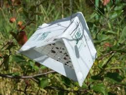 2. Sampling Monitor and identify pests Not all insects, weeds and other organisms need control Many are innocuous and others are