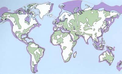 Global Sedimentary Basins onshore basins;