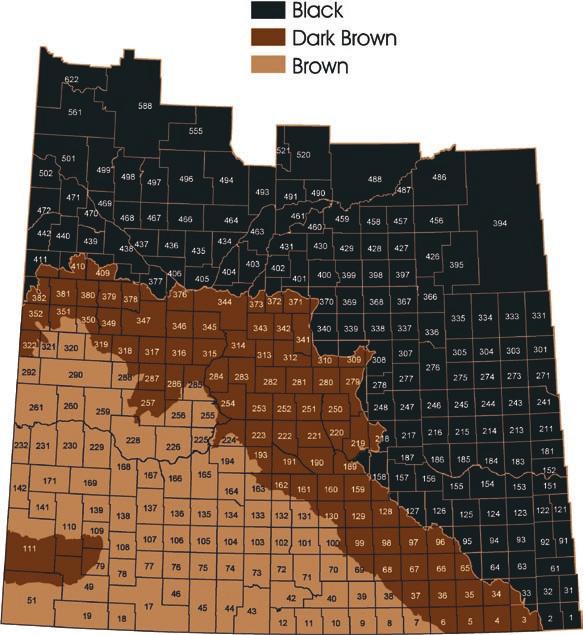 Assumptions Dark Brown Soil Zone 2010 1. Alfalfa cost assumptions taken from Saskatchewan Ministry of Agriculture - Dryland Forage Production Costs 2. Seed including cleaning Organic spring wheat 1.