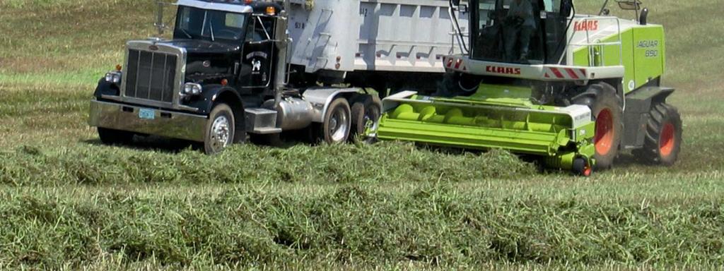Whole-plant corn silage Top-end long-term capacity