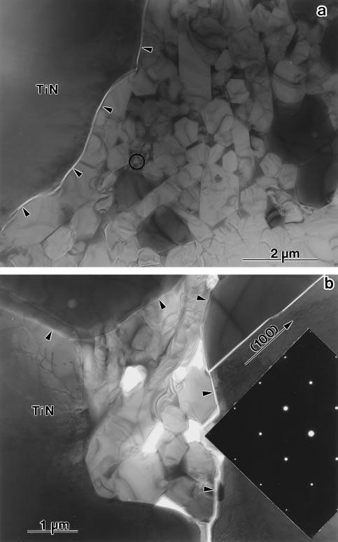 Microstructural Characterization of a Hot Pressed Si 3 N 4 TiN Composite Studied by TEM 1083 Fig. 3 TEM micrographs of the Si 3 N 4 46 mass%tin composite (a) and a portion of large TiN region (b).