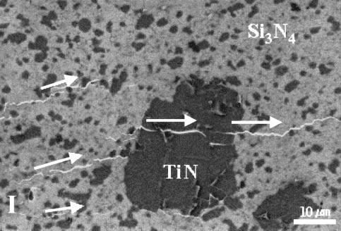Microstructural Characterization of a Hot Pressed Si 3 N 4 TiN Composite Studied by TEM 1085 Fig. 6 Back-scattered SEM micrographs showing crack propagation in the Si 3 N 4 46 mass%tin composite.