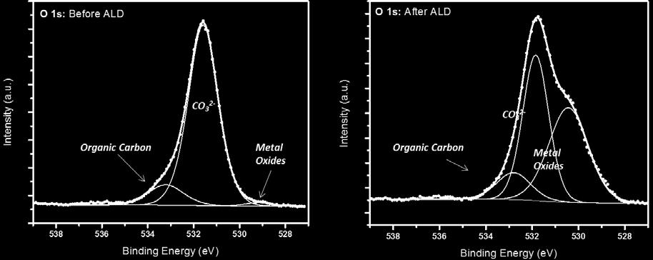 after ALD-Al2O3 coating with survey spectra O1s