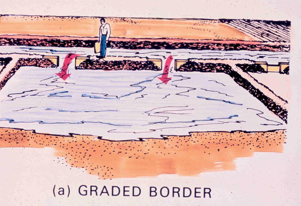 Border irrigation-graded