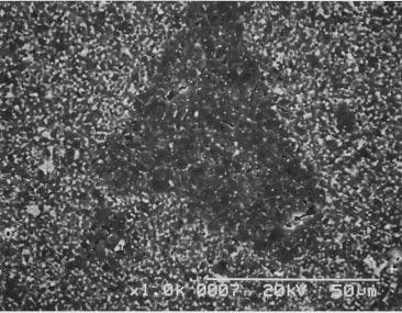 The sizes of agglomerated structures of samples SP1 to SP3 were <32 mm because the diameter of the used polycrystalline powder was <32 mm.