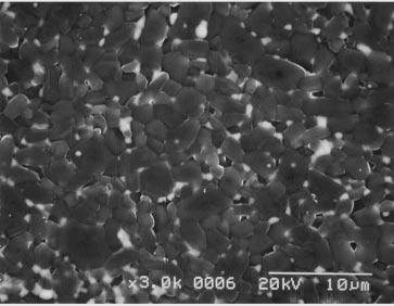 Figure 2(f) shows the microstructure of sample SP5 prepared from the polycrystalline alumina-rich powder PP4 and alumina-zirconia virgin powder as shown in Table 2.