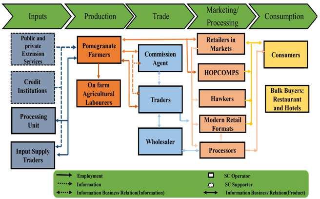 Supply Chain Management of Pomegranate in Chitradurga District of Karnataka 31 are no efficient supply relationships between the different functions undertaken in the various segments of the