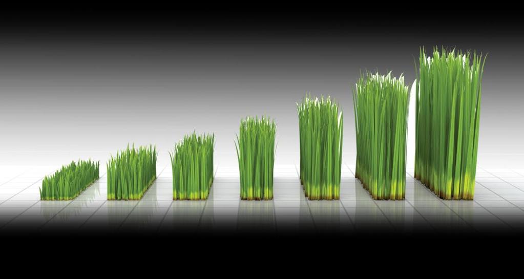 The benefits of controlled release nutrition Optimal Plant Development - Nutrients