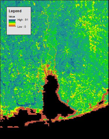 Methodology: Marsh Health Trends NDVI was selected because it is calibrated for chlorophyll in the leaves of plants This detects seasonality in plant types as well as