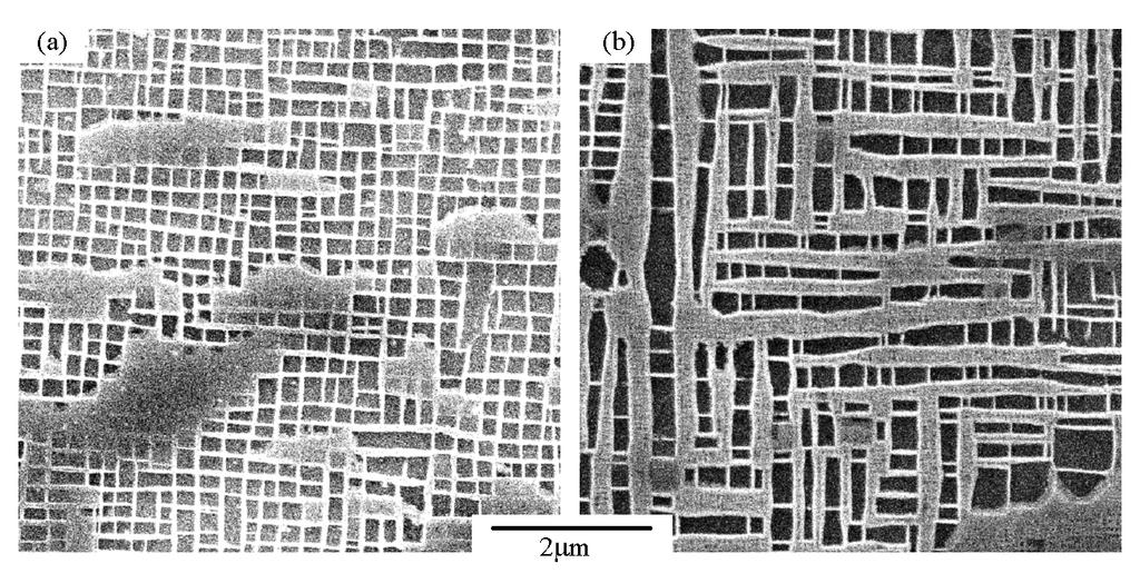 Figure 1. SEM images of / microstructures taken at the dendrite cores, solutioned TMS-196 after (a) 1100 C primary ageing for 4 hours, / are regular with size ~ 0.