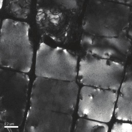 different crystal phases " Example of Ni3Al-based superalloy Dark-field image g = 1 0 0 0 0 0 1 0 0