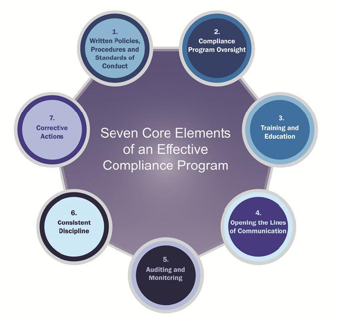Introduction The OIG 1 has identified and published 2 Seven Fundamental Elements for an Effective Compliance Program for Medical Groups: Below we briefly describe each element and highlight important