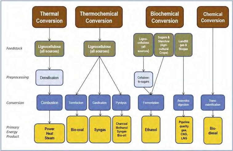 Biomass and Energy Biomass Applications