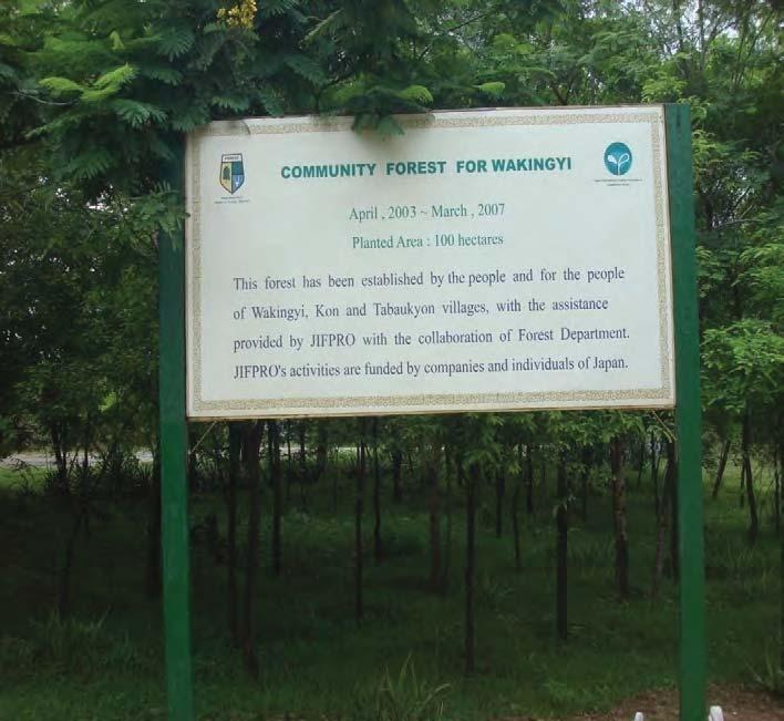 Project 4: Forest for the Green Earth III Wakingyi,