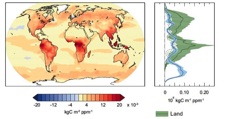 Response to atmospheric CO 2 only land ocean decreasing