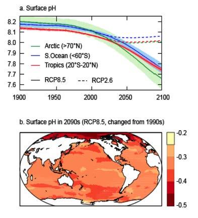 Ocean acidification Surface ph Surface ph change in 2090s from 1990s Uptake of carbon will increase ocean acidification: Virtually certain Aragonite vulnerable in parts of the Arctic