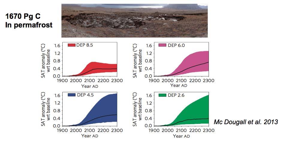 Future of the assessment : cold carbon processes, permafrost C 1670 Pg C In permafrost Mc Dougall et al.
