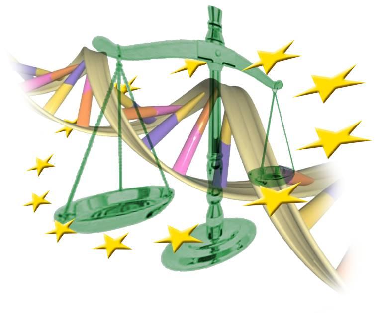The EU Legislation