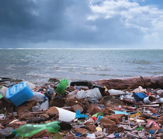 POLLUTING THE OCEANS Today, many ocean beaches around the world are littered with different types of garbage, including plastic bags and bottles (Figure 4.21).