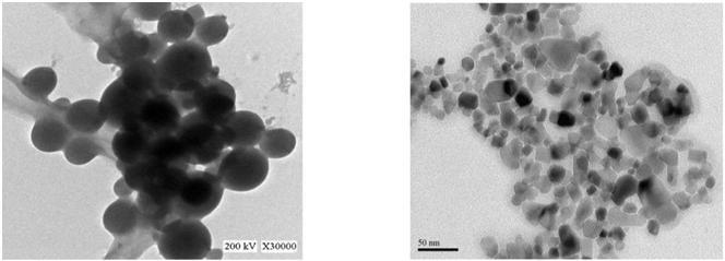 [3] Fig.6: TEM photograph of dispersed TiO 2 nanoparticles in water.[3] IV.