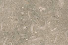 It has a high calcium content due to the (often microscopic) fossilized sea creatures.