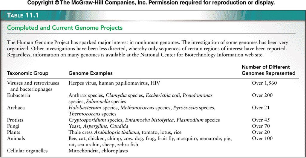 Other Genomes The genomes of other