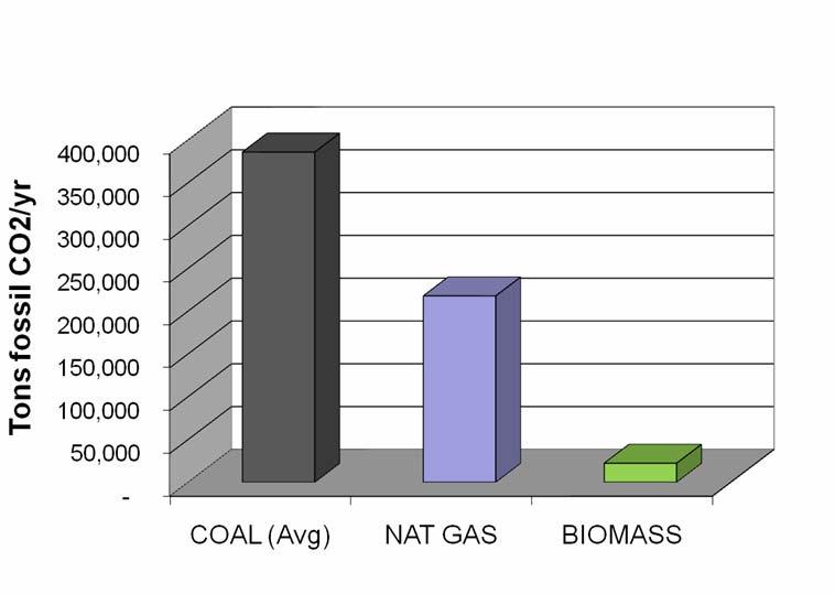 How does Biomass Gasification Benefit the Environment?
