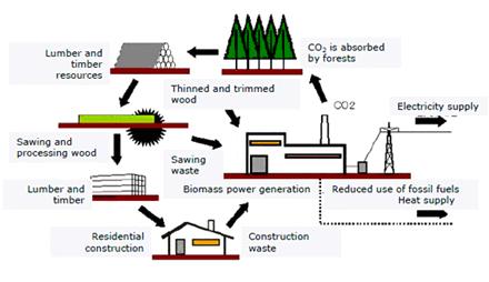 Biomass Is Non Polluting Using Biomass as a fuel helps to combat climate change.