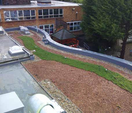 PRO-LIVING The benefits of green roofs include: Reducing problems of water run-off and better storm water management Building insulation Enhanced aesthetics Providing habitats for birds and insects