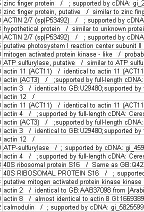Linking sequence to phenotypes QTL I Candidate Region Candidate Gene Identification Candidate