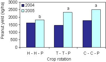 Disease ratings of stem rot and Rhizoctonia limb rot in peanut were not affected by rotation crop in either 2004 or 2005. The average percentage of row affected by S. rolfsii was 14.1 and 7.