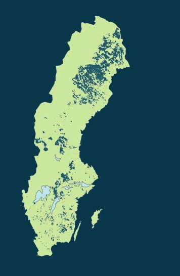 Sveaskog s forest assets Piteå Dark areas show Sveaskog s forest assets and the red dots are the company s