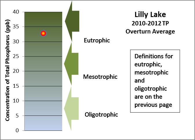Lilly Lake Water Quality Phosphorus is a major nutrient that can lead to excessive algae and rooted aquatic plant growth in lakes.