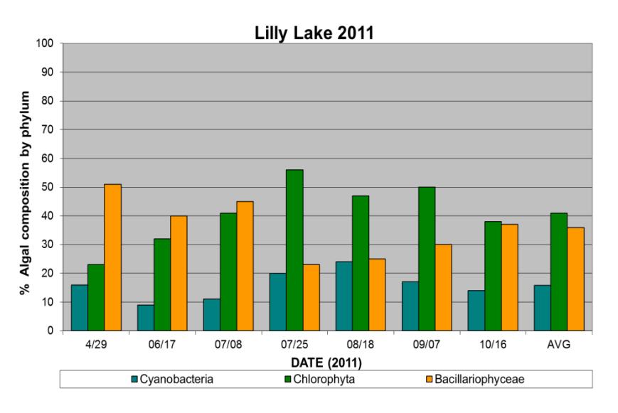 Lilly Lake Water Quality Algae are microscopic, photosynthetic organisms that are important food items in all aquatic ecosystems.