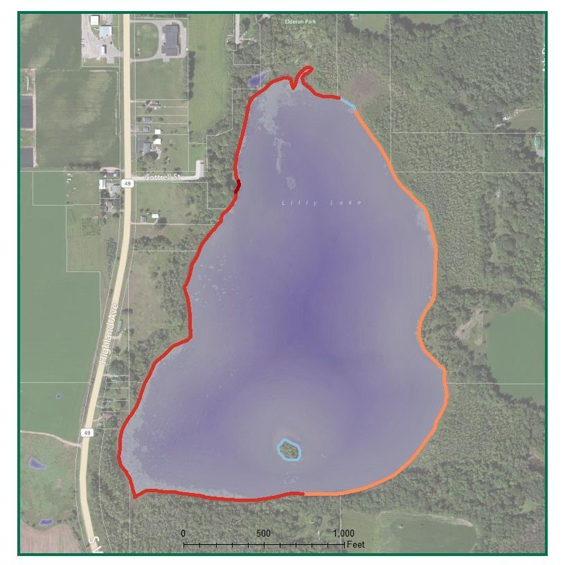 Lilly Lake Shoreland Vegetation Shoreland vegetation is critical to a healthy lake s ecosystem.