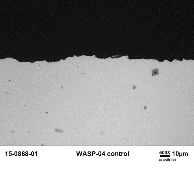 Micrographs Of Exposed Samples Showed Thin, Continuous Oxide Versus Control Samples