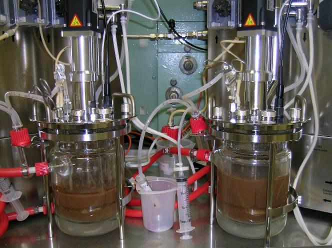 42 Hydrolysate Fermentation Stover Milling Pre-treatment