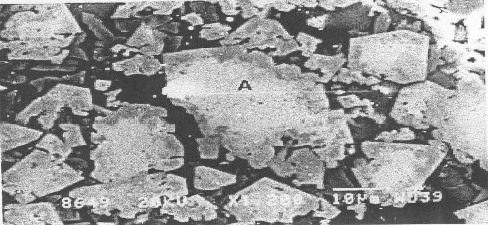 grains and exposing fresh chromite surface for further dissolution. The dissociation of oxides produces metallic cations and oxygen anions which dissolve in the slag. Figure 2(a).