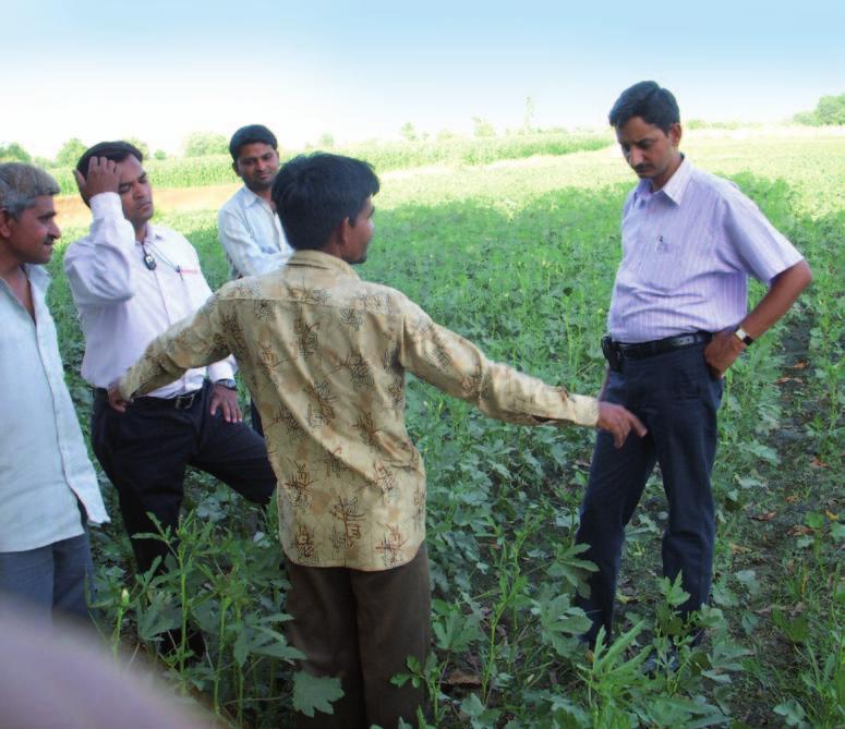 He was highly interested in training his own agronomists in okra production, and agreed to work exclusively with Bayer