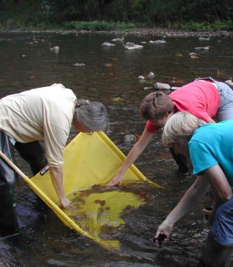 Necessary equipment: o Measuring tape o 1m X 1m, 500µm kick net or D-frame net o Collection containers o Forceps o Magnifying glass/ hand lens o Ethanol (to preserve macroinvertebrates if not